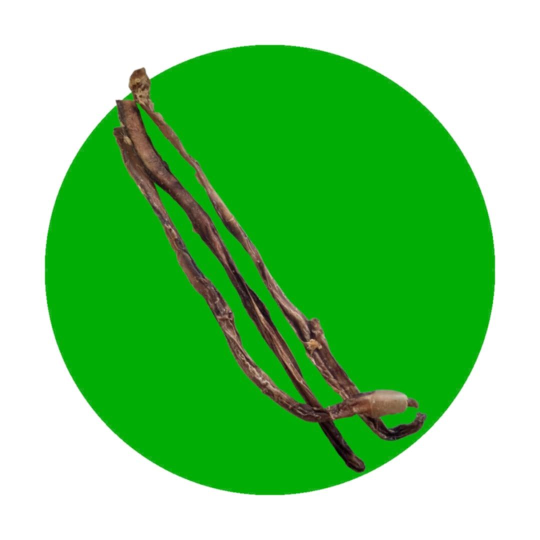 Steer Pizzle, Size: Single