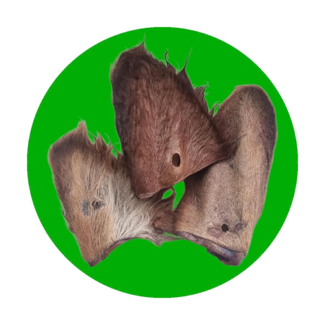 Furry Beef Ears, Product: Small Ears, Size: Single