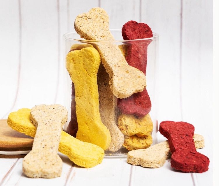 Doggie Health Hub Healthy Biscuits