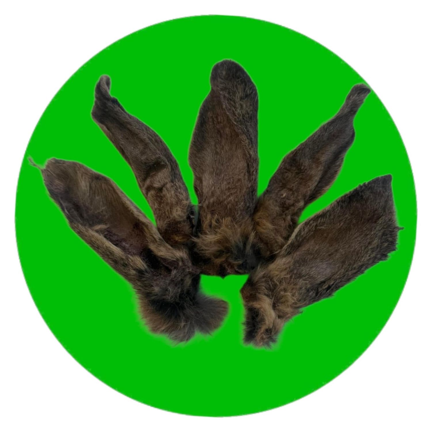 Dehydrated Rabbit Ears with Fur