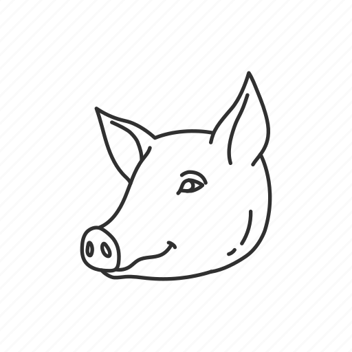 Whole Pork Head -  ea