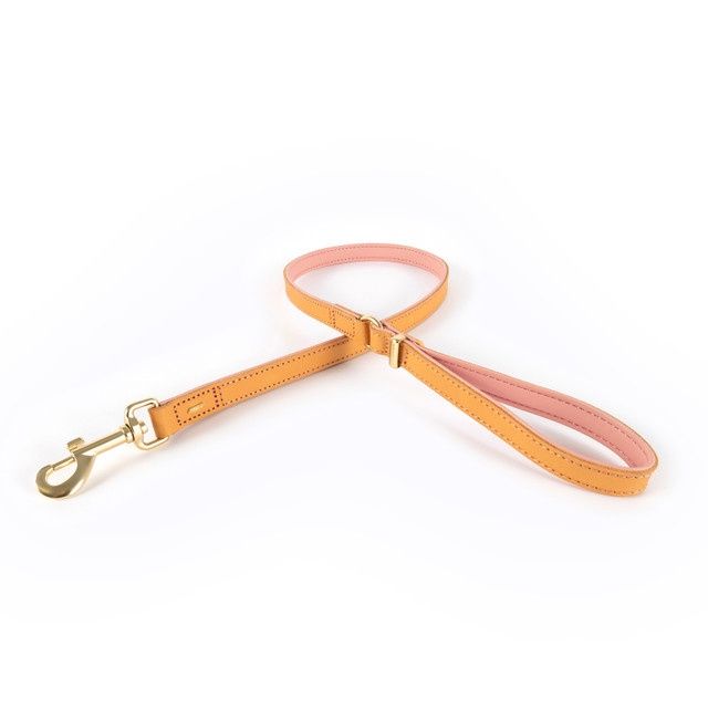 Ezy Dog Oxford Leash, Colour: Blush