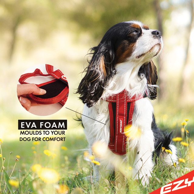 Ezy Dog Chest Plate Harness
