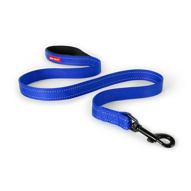 Ezy Dog Leash Essential