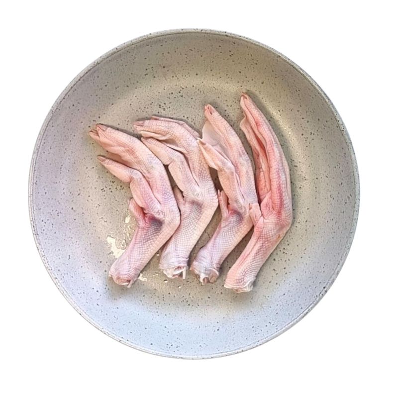 Raw Duck Feet
