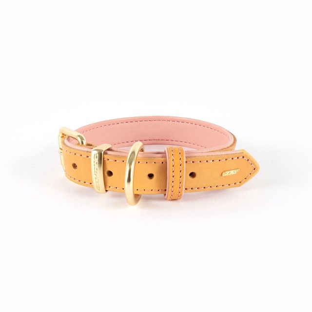 Ezy Dog Oxford Leather Collar, Colour: Blush, Size: Small