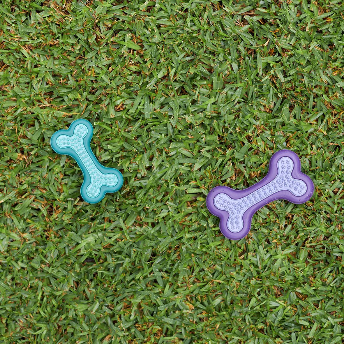 Puppy Teether, Size: Small