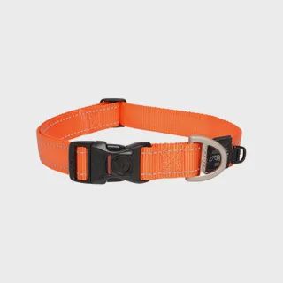 Rogz Classic Collar, Colour: Orange, Size: Large