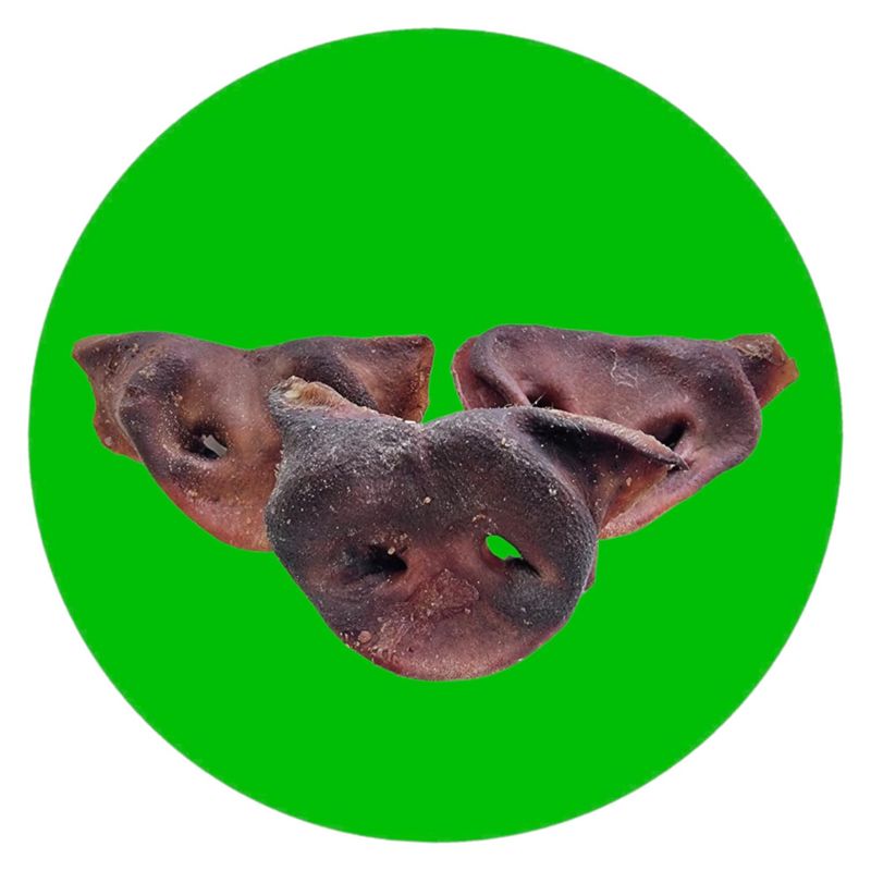 Pork Snouts