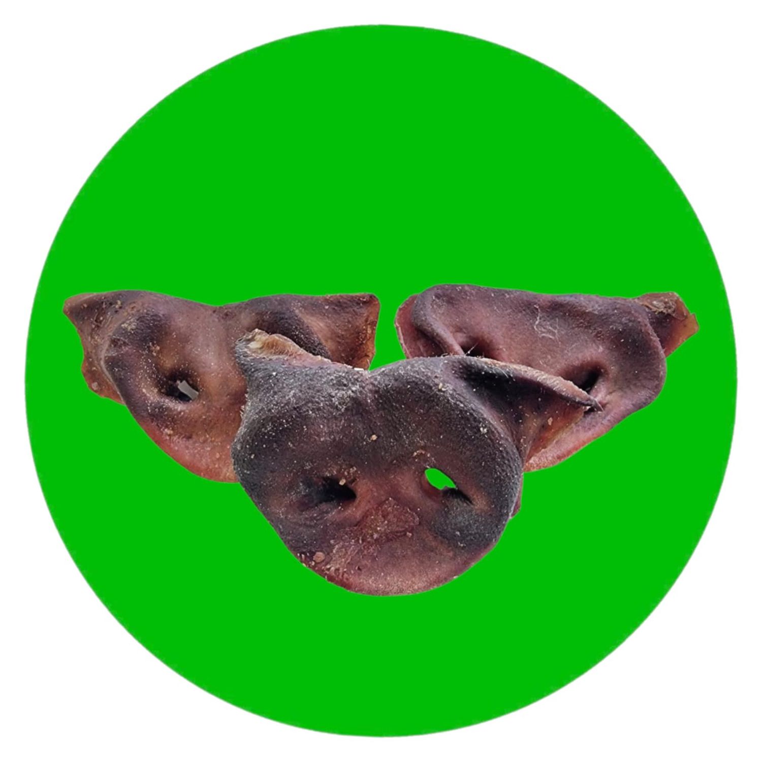 Pork Snouts, Size: Single