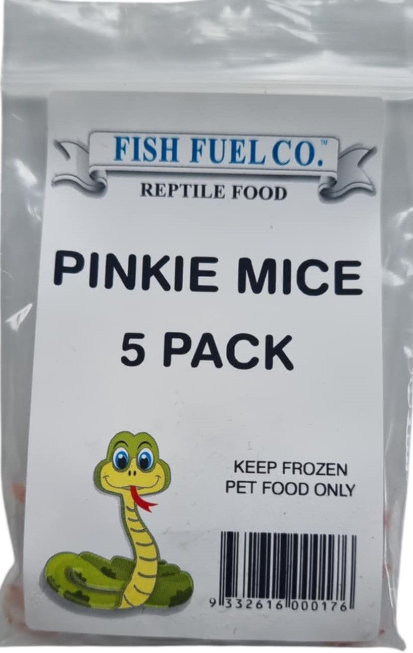 Frozen Mice - 5 packs, Size: Pinkie