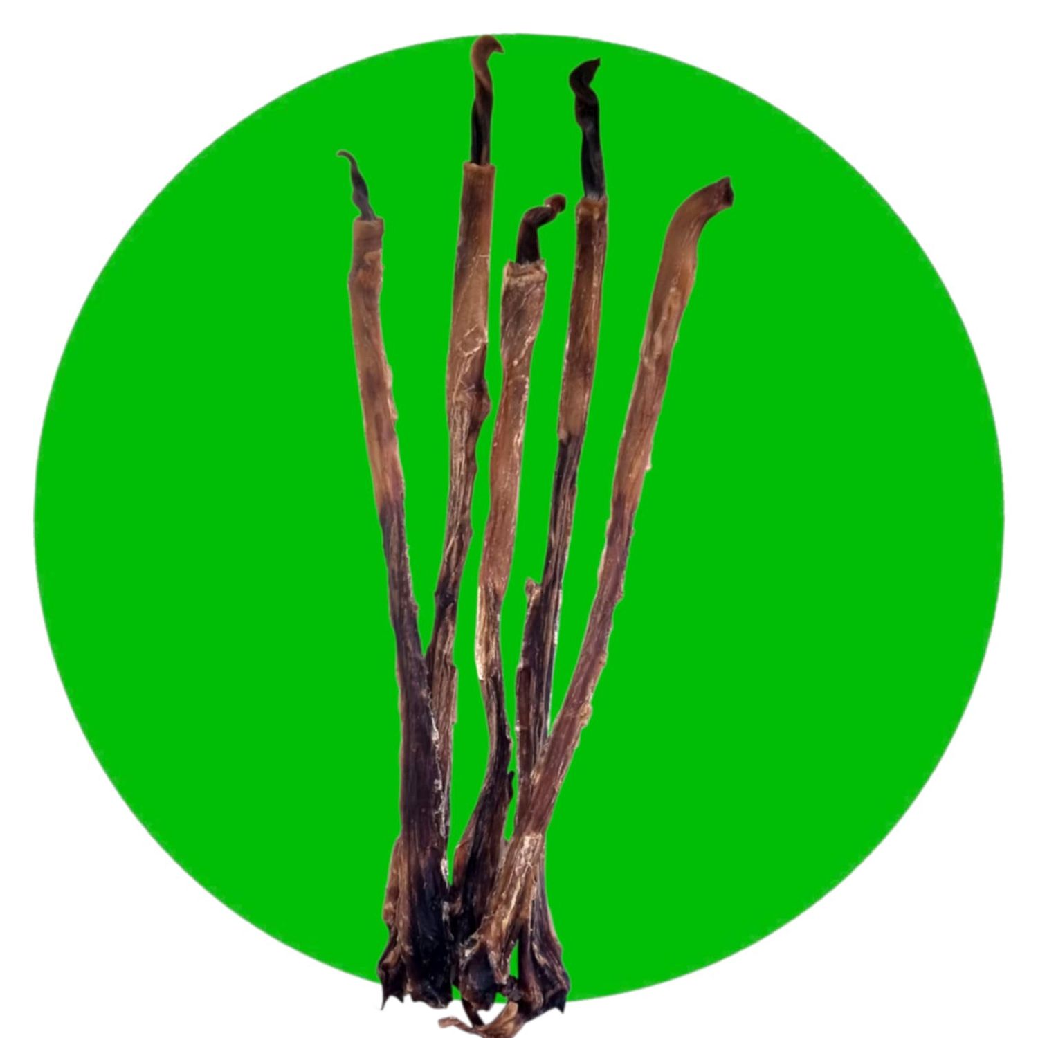 Pork Pizzle, Size: Single