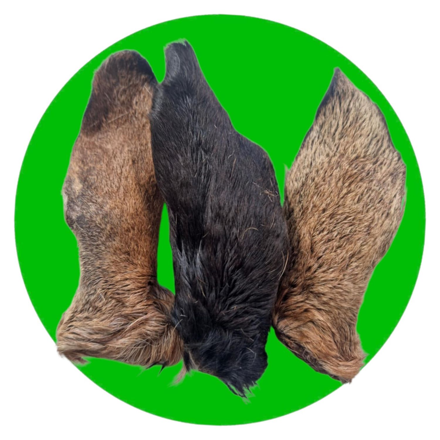 Woolly Goat Ears, Size: Single