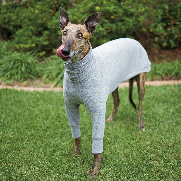 Greyhound Softie Grey, Size: 65-70cm Medium