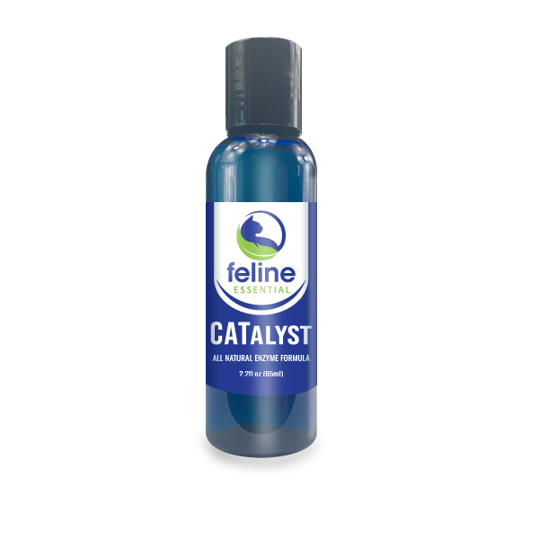 CATalyst Antioxidant Enzyme Formula