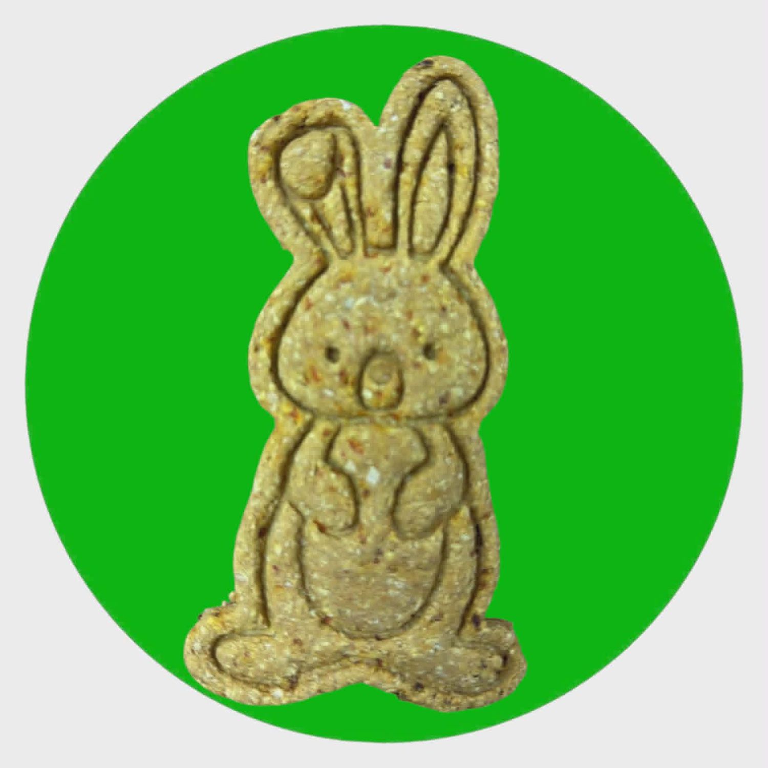 Easter Bunny Cookie