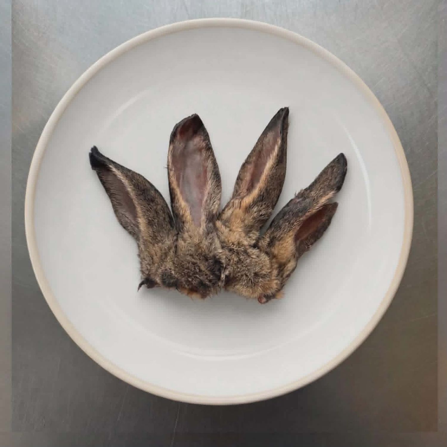 Raw Rabbit Ears with Fur - 14 pk