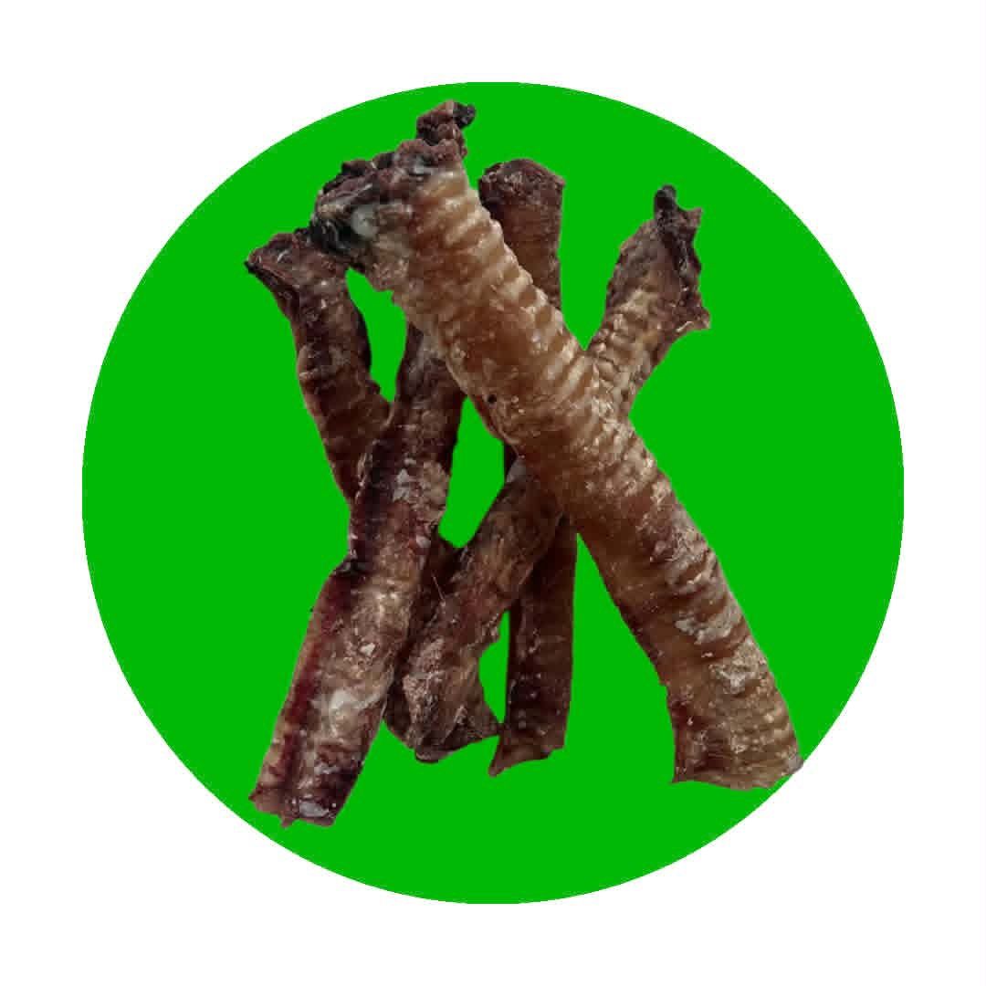 Lamb Trachea