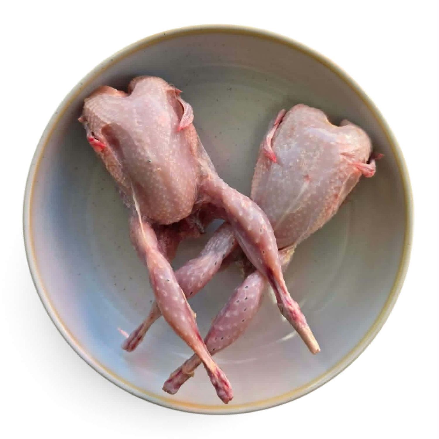 Quail - 2 pack