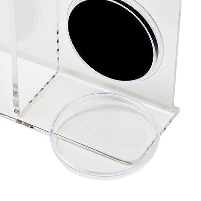Star Wars Loose Action Figure With Coin Acrylic Display Case - Small 3 3/4&quot;