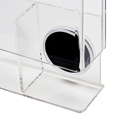 Star Wars Loose Action Figure With Coin Acrylic Display Case - Small 3 3/4&quot;