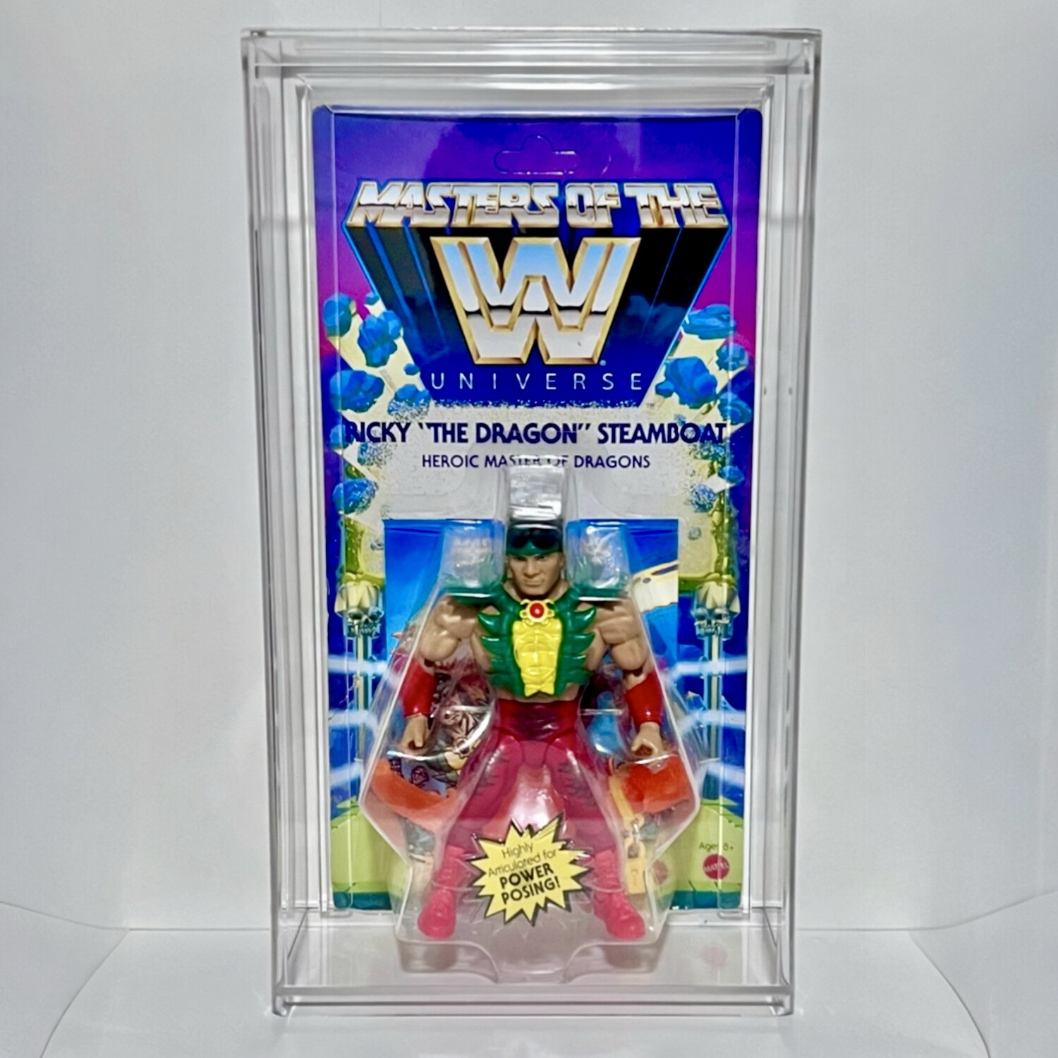 Masters Of The WWE Universe Wrestling Action Figure Acrylic Display Case