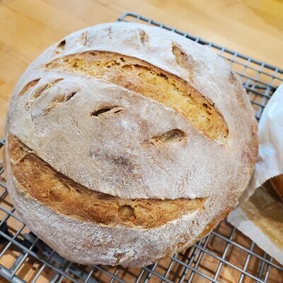 Sourdough Loaf