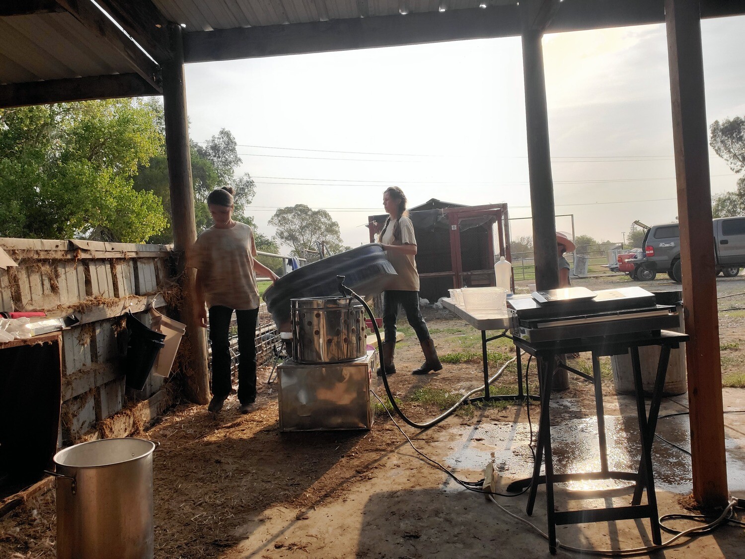 Learn to process chicken day
