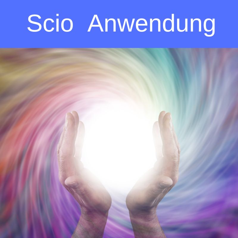 Scio Anwendung