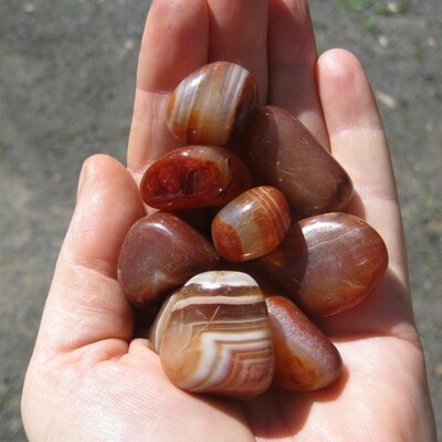 Agate - Brown (ea)