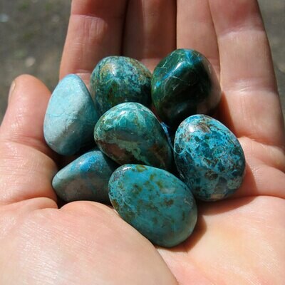 Chrysocolla (ea)