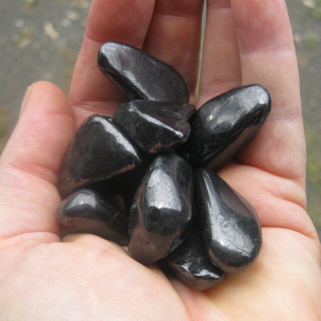 Shungite (ea)