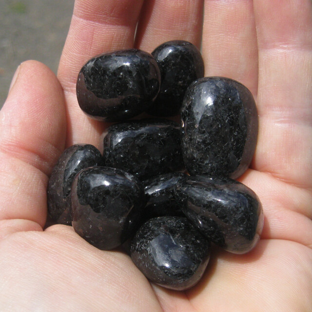 Nuummite (ea)