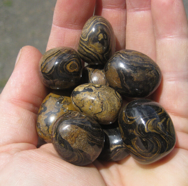 Stromatolite (ea)