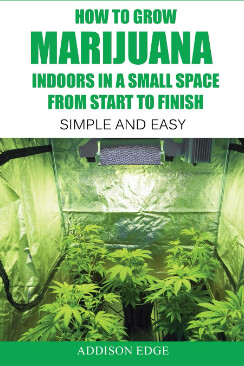 How to Grow Marijuana Indoors in a Small Space From Start to Finish