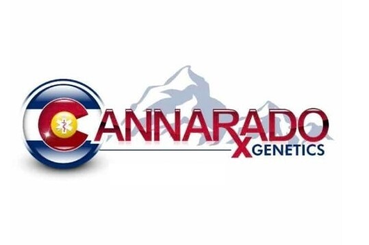 Ring Poppa Seeds-Cannarado-6 Seeds