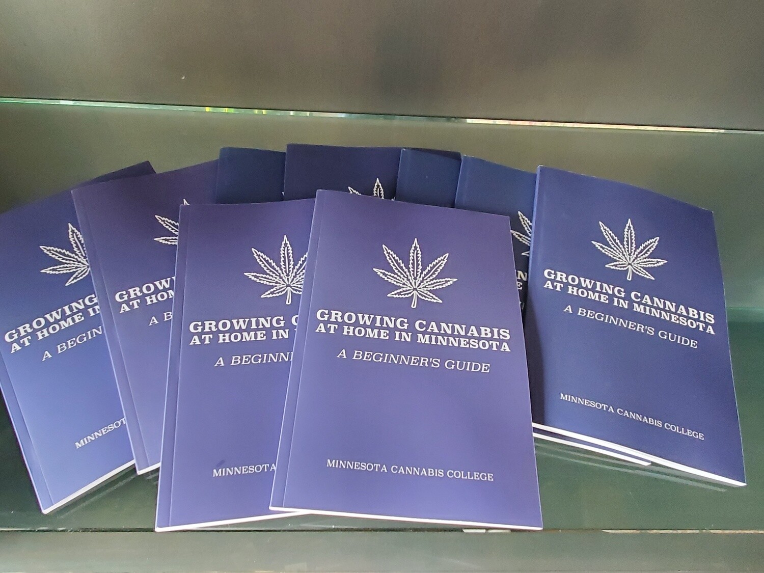 Growing Cannabis at Home in Minnesota: A Beginner's Guide