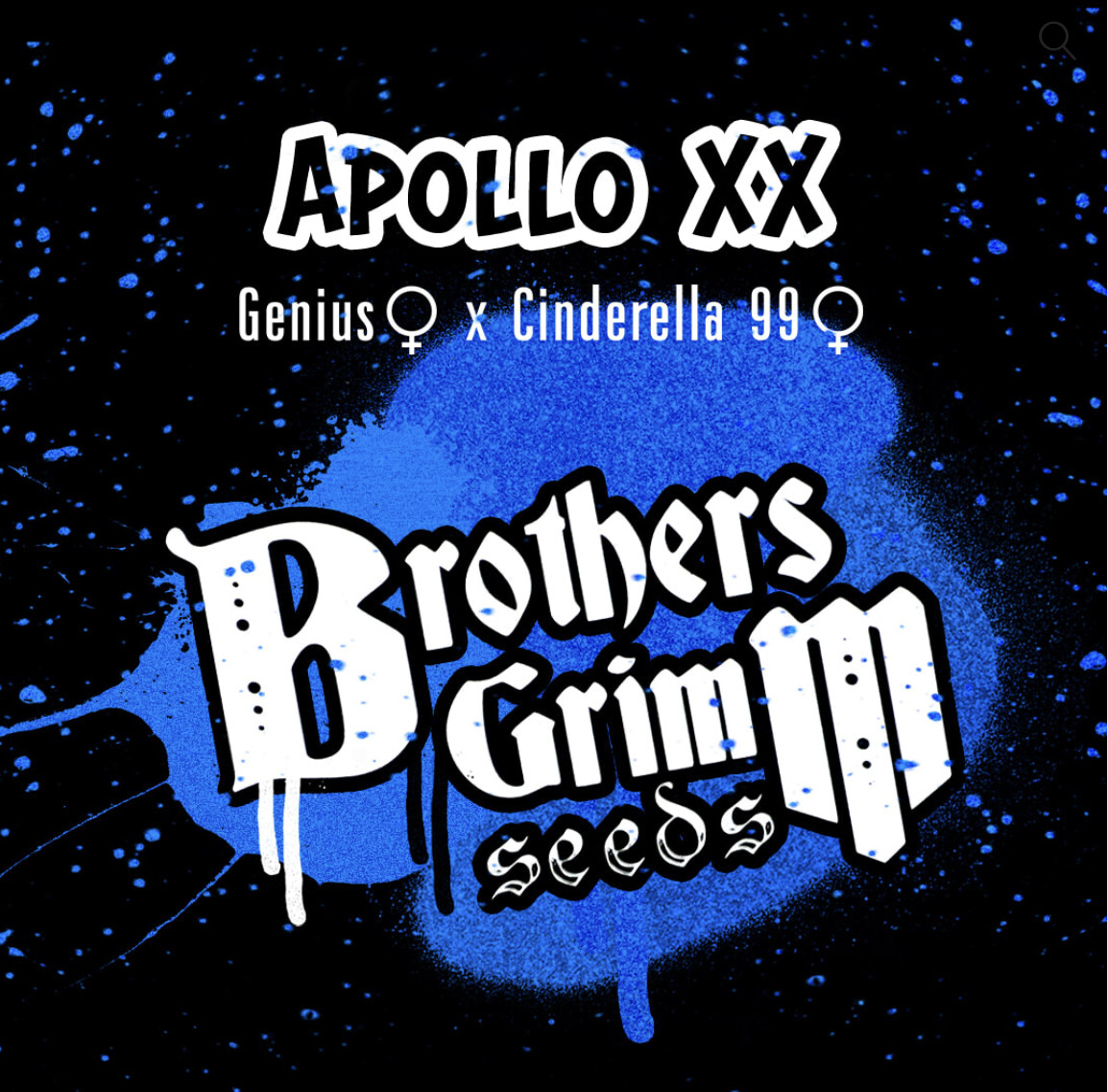 Apollo XX Seeds