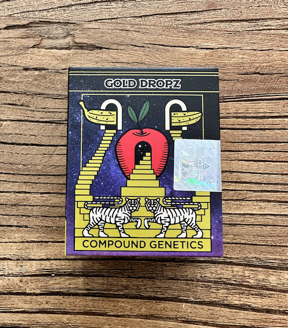 Gold Dropz Seeds-Compound Genetics-3 Seeds