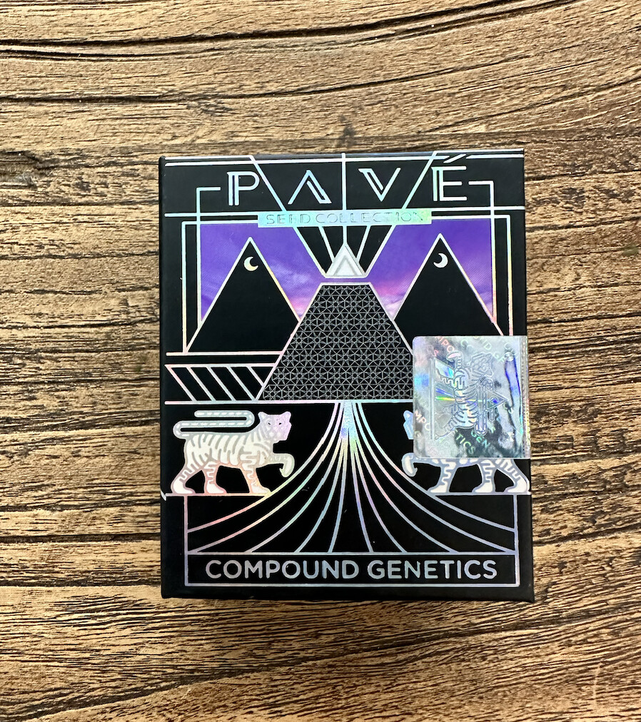 HoneyComb Pave` Seeds-Compound Genetics-3 Seeds