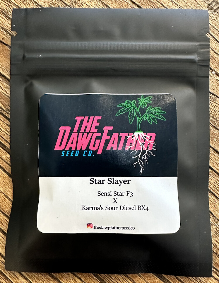 Star Slayer Seeds-The Dawg Father-12 Seeds