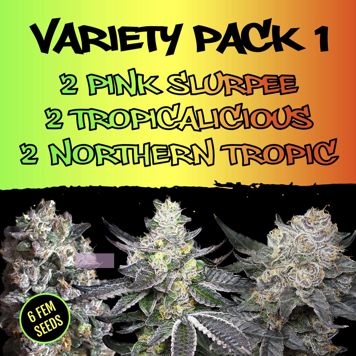 Feminized Seeds  Variety Pack 1- Northern Tropic - Pink Slurpee - Tropicalicious