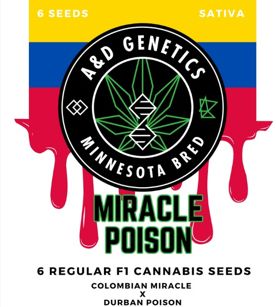 Miracle Poison-A &amp; D Genetics 6 Regular Seeds