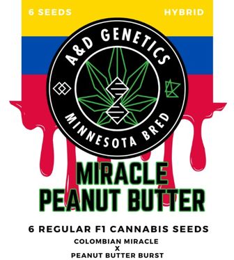 Miracle Peanut Butter-A &amp; D Genetics 6 Regular Seeds