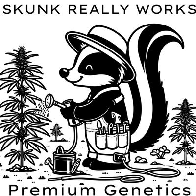 Sour Skunk-Skunk Works-10 Regular Seeds