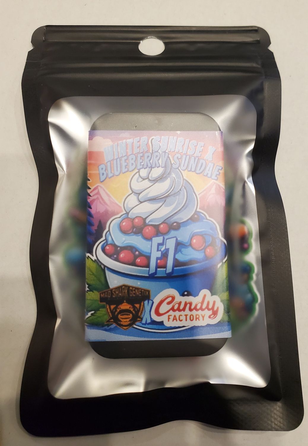Winter Sunrise x Blueberry Sundae F1 - Candy Factory - 5 Feminized Seeds