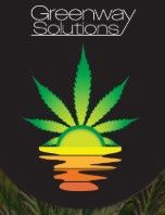 Gelato Auto-Greenway Solutions-3 Autoflower Seeds