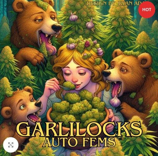 Garlilocks-Nancy&#39;s Own-5 Autoflower Feminized Seeds