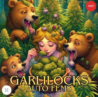 Garlilocks-Nancy&#39;s Own-5 Autoflower Feminized Seeds