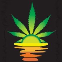 Dankenberry-Greenway Solutions-5 Seeds